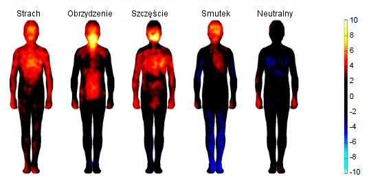 Mapa emocji w ciele pod wpływem video